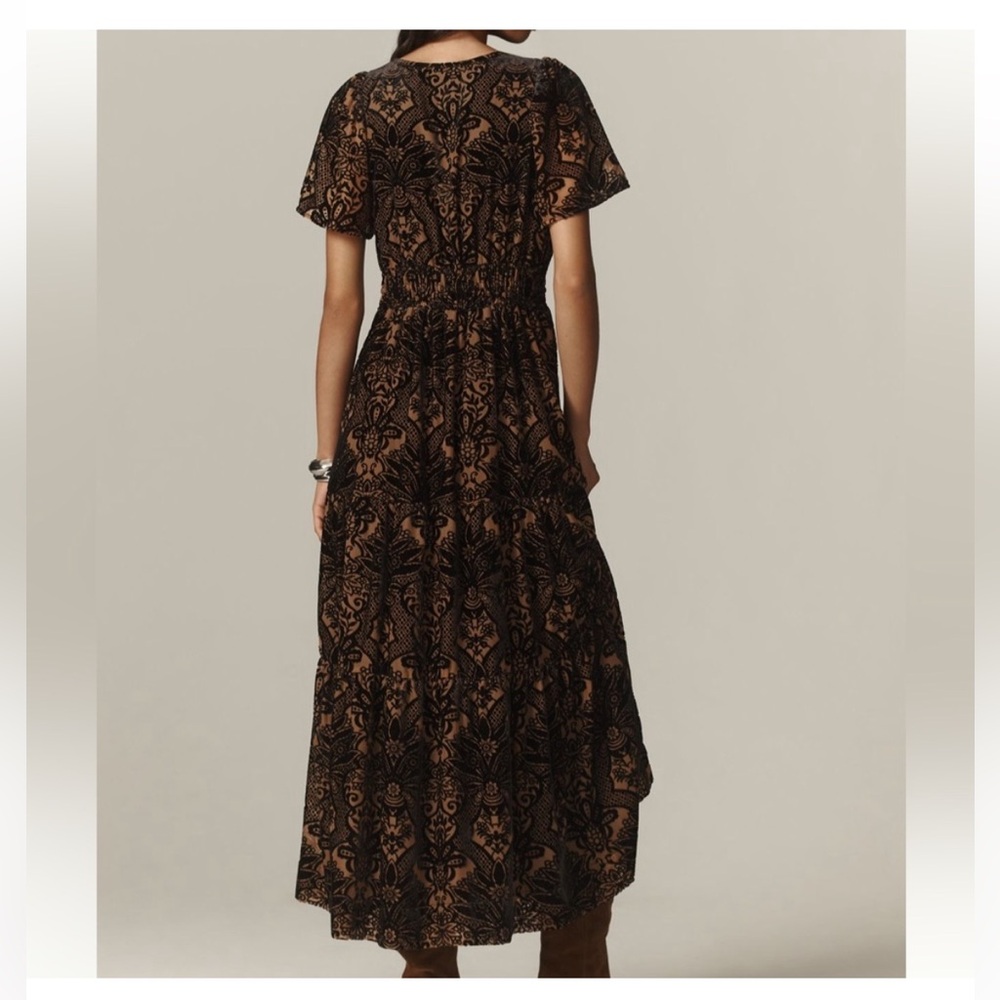 Anthropologie | Tan and Black Velvet Maxi Dress - Picture 5 of 14